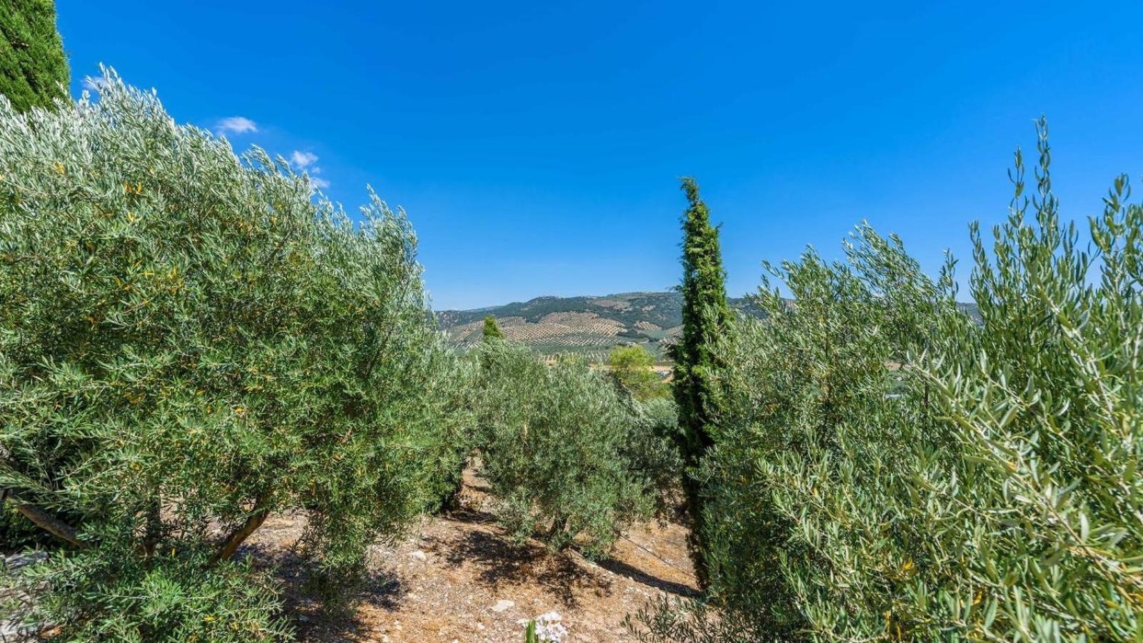 Вилла Cortijo Casablanca Priego De Cordoba By Ruralidays Экстерьер фото